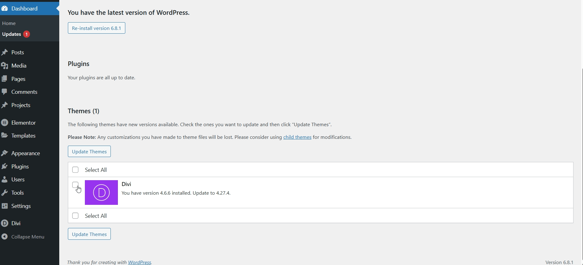 Divi update